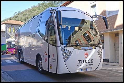 tudor sui trust